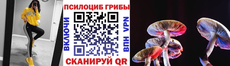 Псилоцибиновые грибы Psilocybine cubensis  Нововоронеж 